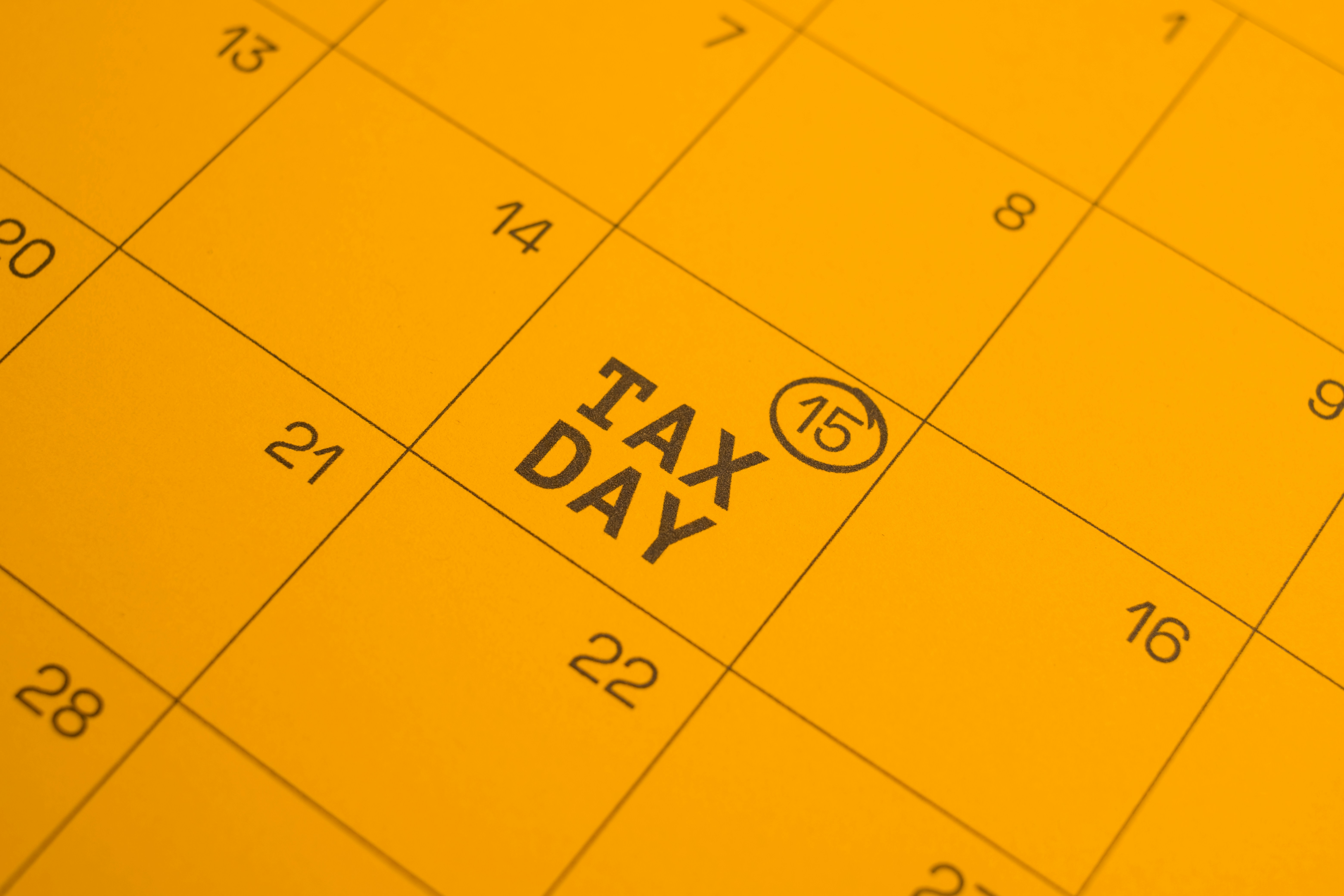 What CPAs Should do After tax season