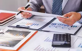 Financial Professional reviewing information